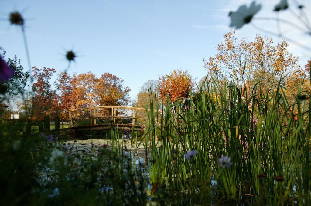 Le Manoir De Bellerive Hotel Le Buisson-de-Cadouin Buitenkant foto